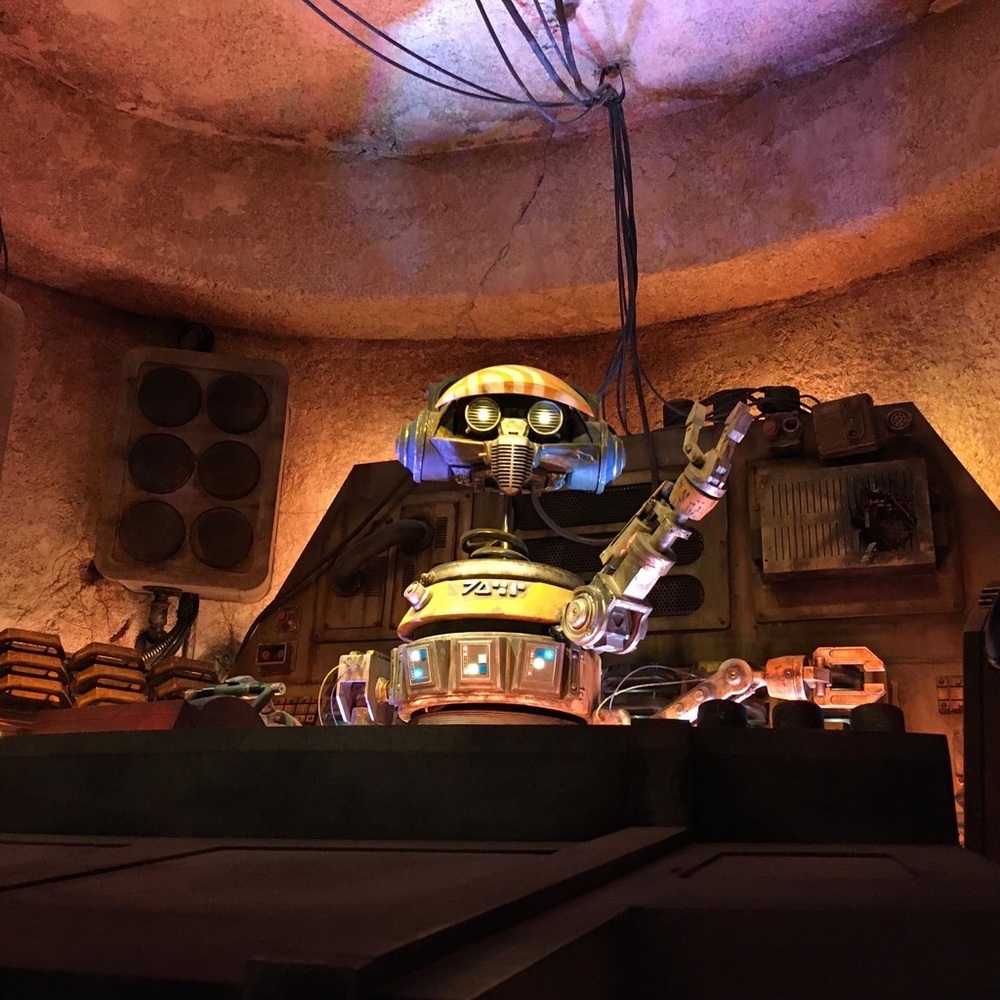 Meet your Posher, Ofie